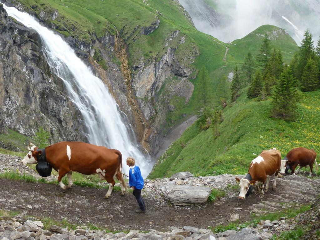 Hotel Hari Im Schlegeli Adelboden Zewnętrze zdjęcie