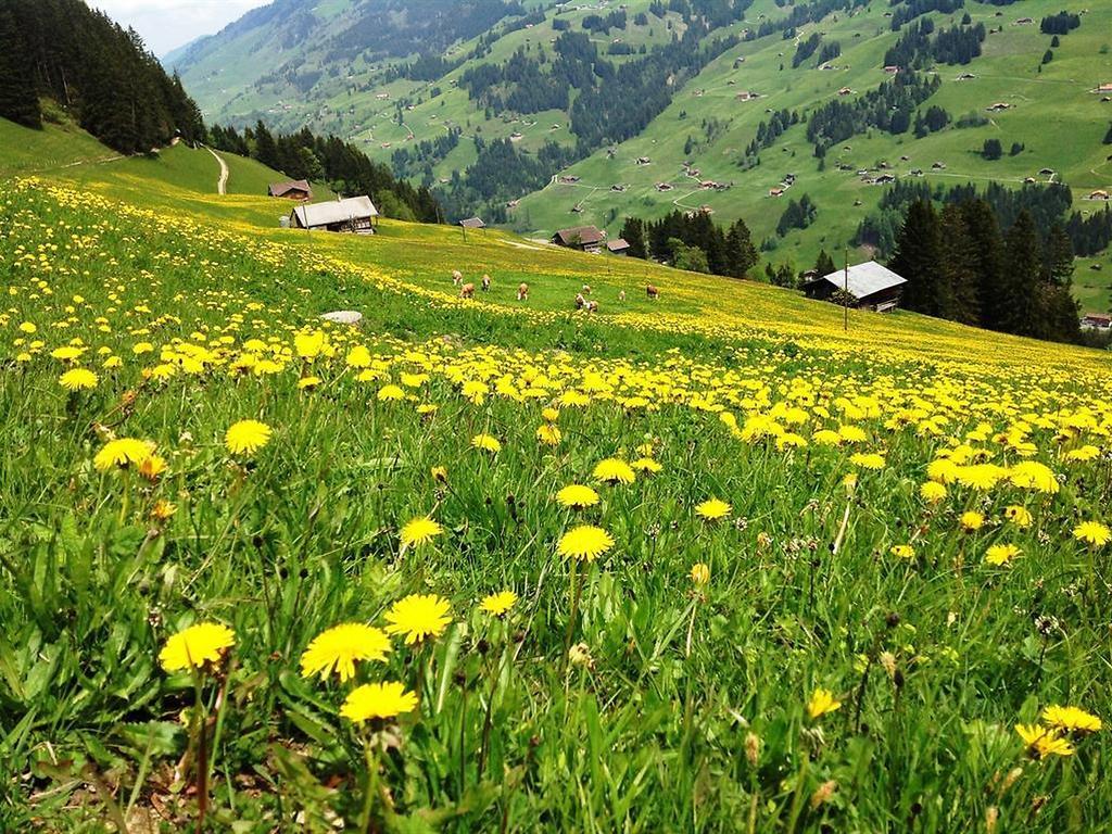 Hotel Hari Im Schlegeli Adelboden Zewnętrze zdjęcie