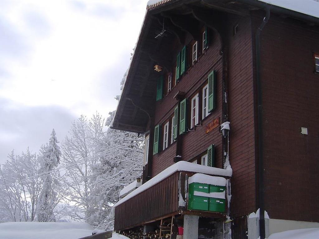 Hotel Hari Im Schlegeli Adelboden Zewnętrze zdjęcie